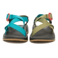 Chaco Men's Z/1 Classic Sandals | NRS -Outdoor Sports 34034 01 Teal Avocado na front 013123 1000x1000