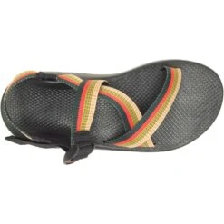 Chaco Men's Z/1 Classic Sandals - Closeout | NRS -Outdoor Sports 34034 01 Tetra Moss na top 101121 1000x1000