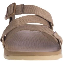 Chaco Men's Lowdown Slide - Closeout | NRS -Outdoor Sports 34049 01 otter na front 011421 1000x1000