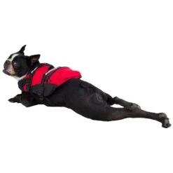 NRS CFD Dog Life Jacket - Closeout 10 NRS CFD Dog Life Jacket - Closeout -Outdoor Sports 40023 01 2140 Batman 091912 1000x1000