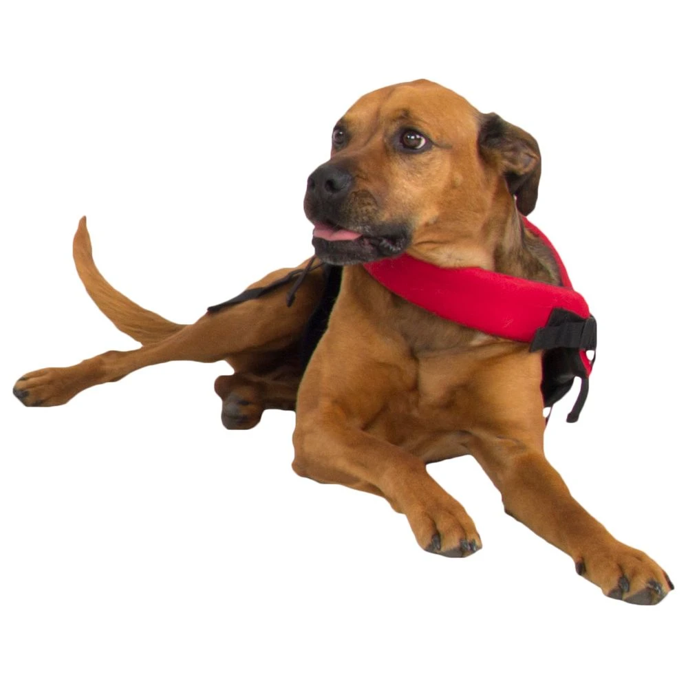 NRS CFD Dog Life Jacket - Closeout 8 NRS CFD Dog Life Jacket - Closeout - Image 6