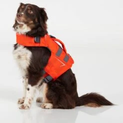 NRS CFD Dog Life Jacket 36 NRS CFD Dog Life Jacket -Outdoor Sports 40023 02 Orange Small26lbs ModelSitting 031022 1000x1000